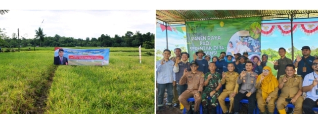 foto slider headline